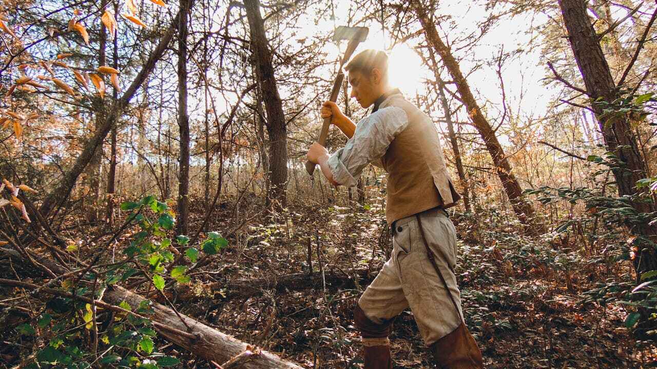 Large Tree Removal in Macon, MO